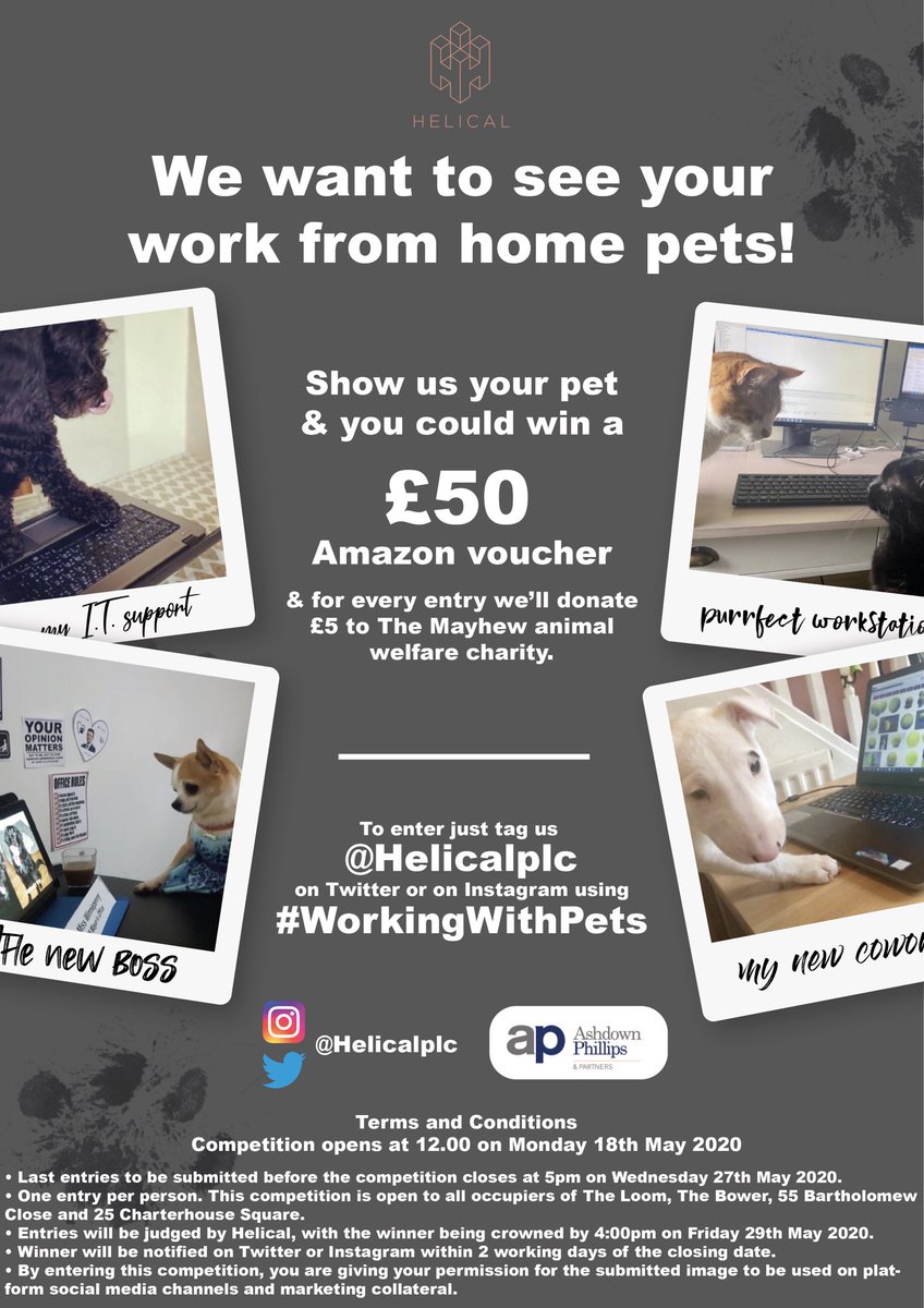 Want to win £50! Enter our #WorkingWithPets competition