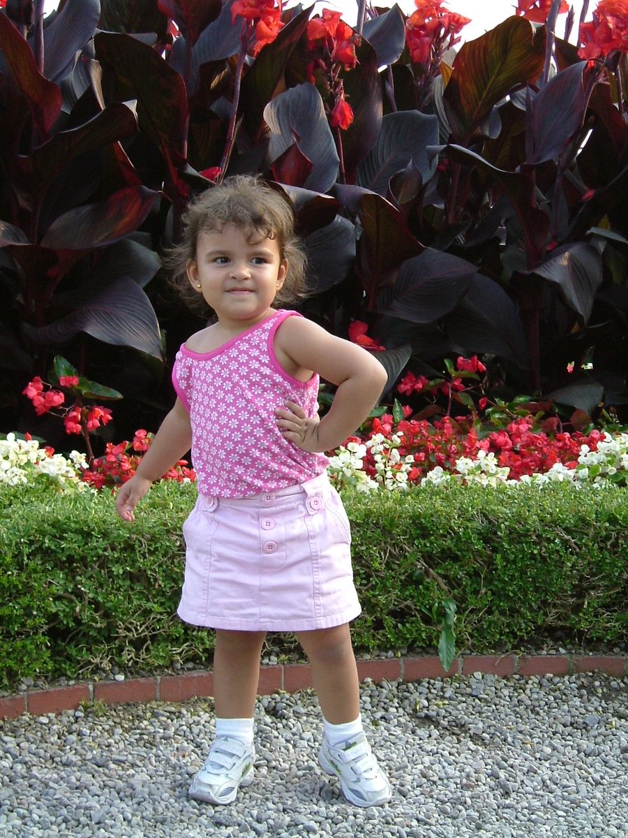 staceysole2020 tweet media