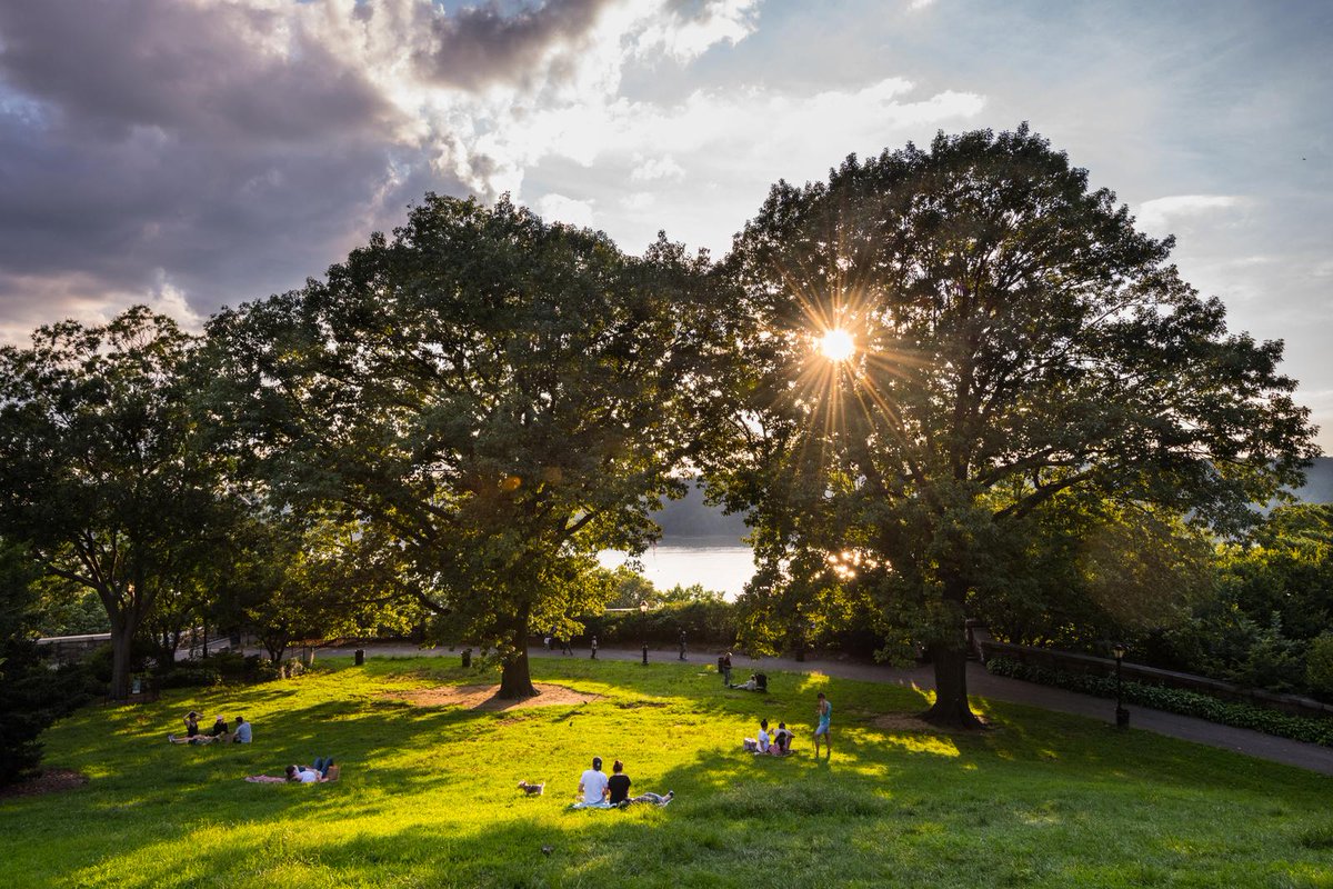 nature_ny's tweet image. #NYCParks are an essential way that #NatureConnects health, resiliency, environment and quality of life in New York. We’re supporting the #PlayFair campaign to fund this critical public health infrastructure: nature.ly/3dWPIel @NY4P @nylcv