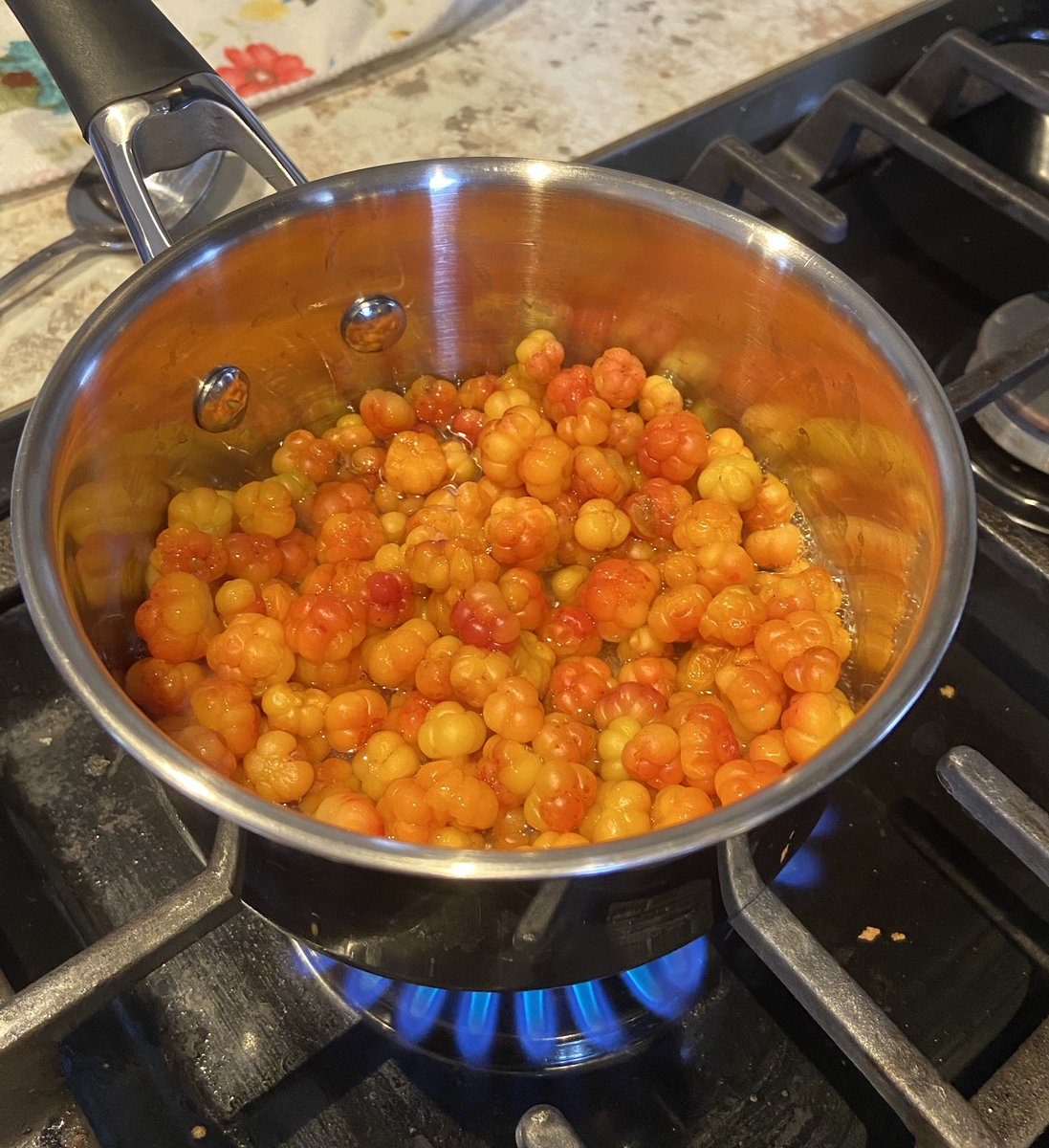 shelleyleia's tweet photo. #bakeapples. My cheesecake needs a topping. #cooking #baking https://t.co/8itC2zYTJg