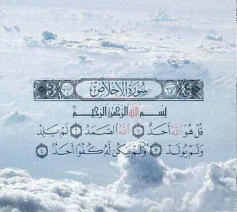 أ.محمد فهد بن جامع tweet media