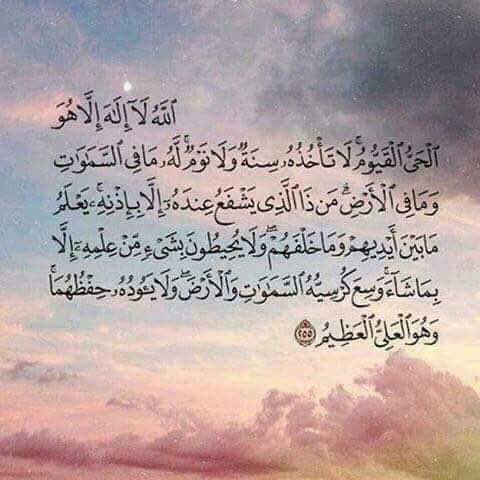 أ.محمد فهد بن جامع tweet media