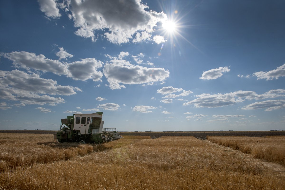 IACE_UniSQ's tweet photo. New research by @usqedu #DCAP insurance team on risk transfer strategies for farmers.
Email #USQResearcher Shahabaz Mushtaq for more📩shahbaz.mushtaq@usq.edu.au
#sustainable #profitable #climate #insurance
Subscribe to DCAP newsletter https://t.co/S7ylRC89MZ https://t.co/EEwzysbfHE