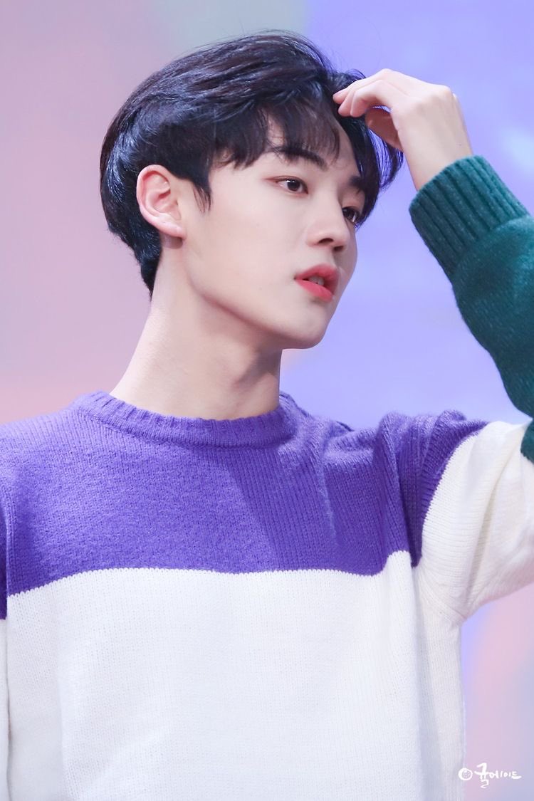 ~ a few in betweens ~