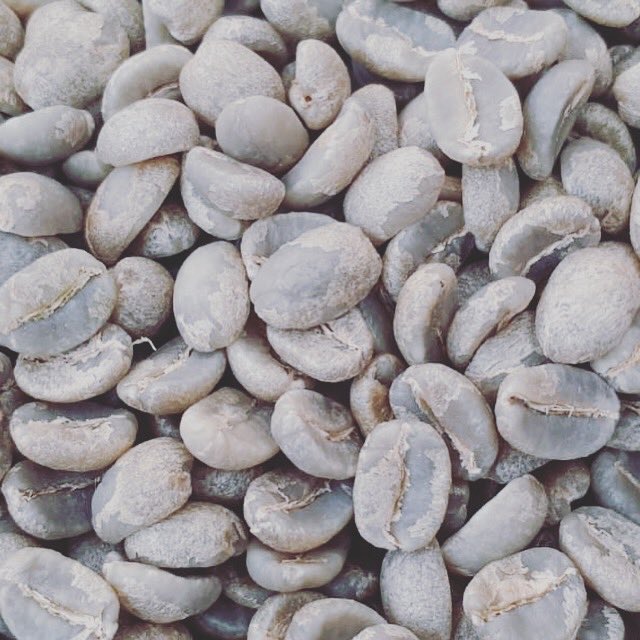 Café arábica caturra, malla 17, seleccionada por tamaño para un tueste perfecto &amp; uniforme. Arabica caturra coffee, mesa 17, selected by size for a perfect &amp; uniform roast. #perú #cafeteria #café #chocolate #coffee