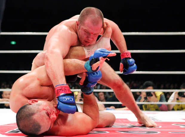 このメルヘンチックなイラストを？ヒョードルが描いているという事実www