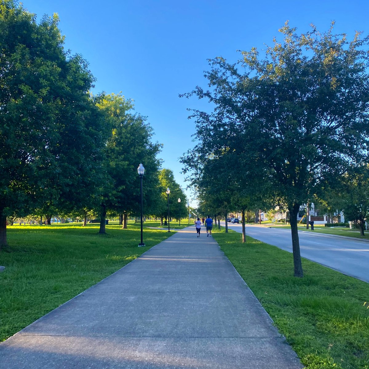 LakeviewLife's tweet photo. Walking weather #Lakeviewlife #westend https://t.co/qpzCurTQfO