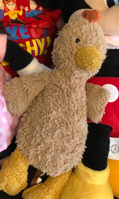 drpmacpherson's tweet photo. Lost on Butternut Creek trail in #ygk today: Our toddler’s favourite stuffed toy!

“Mr. Cluck Cluck”, a well-loved, one-legged rooster, went rogue during a scooter ride today. We went back to look for him, but couldn’t find him. Send me a DM if you find it and thanks for reading! https://t.co/B5DzElfb4K