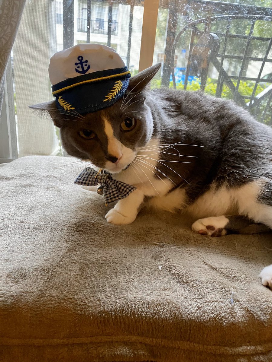 Cyclone SPIRIT dress your pet up day was a hoot!!!! Enjoy <a href="/CENMS/">Centennial Middle STEM Magnet School</a> <a href="/pascoschools/">Pasco County Schools</a> <a href="/mhetzlernettles/">Marcy HetzlerNettles</a> <a href="/swcarrol/">Scotty Carroll</a>