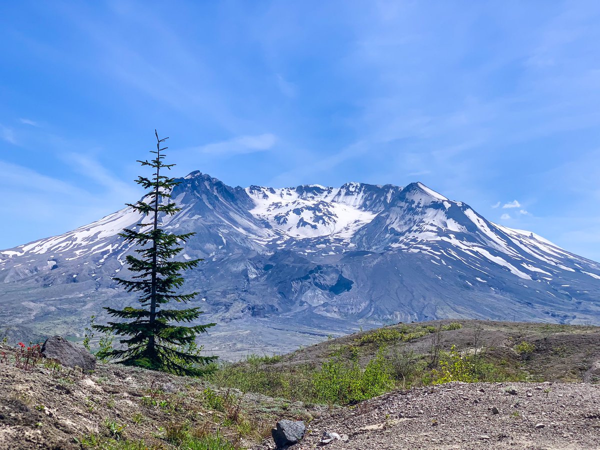 Kati_Explores's tweet photo. #MountStHelens 40 year anniversary today! 🌋 https://t.co/VX7tBwc0yq