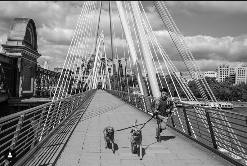 floriophotoNYC's tweet photo. #COVID19 Diary - Day &?@? Hungerford Bridge. Image ©Jason Florio
#londoncovid #strangerinafamiliarland #temporarynormal https://t.co/PFAckOwCyN
