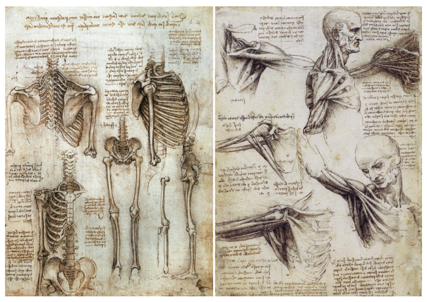 It was a laborious (and expensive) process, which explains why many works had to be hand drawn. Here’s Leonardo da Vinci’s “Human Body Sketches” (c. 1510)