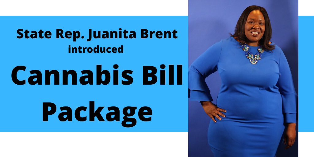 Introduced a CANNABIS BILL PACKAGE that keeps Ohio's Promise that all Ohioans can Live, Work and Retire in Ohio. This will allow autism to be a qualifying condition for medical marijuana  and decriminalize cannabis...It’s about time we stop criminalizing a plant (cannabis)