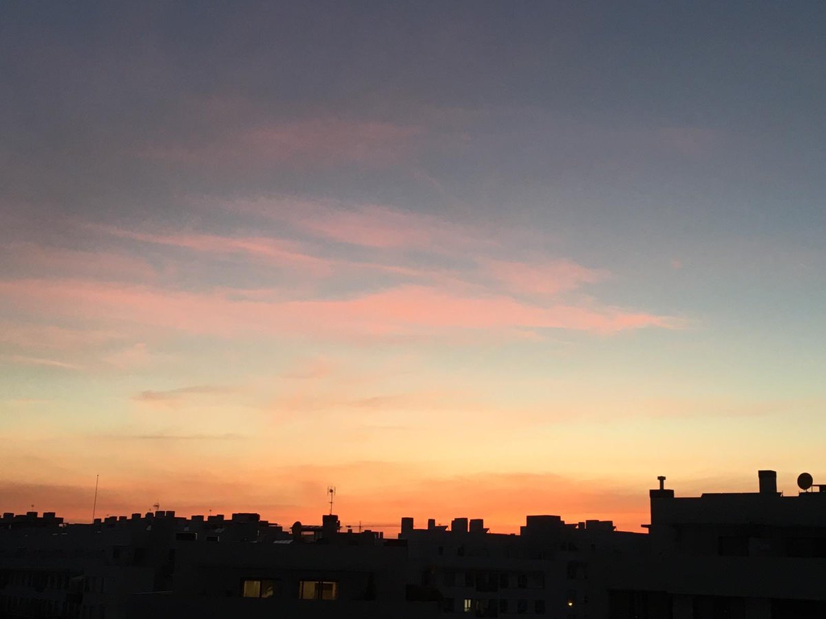 Isabel Benéitez tweet media