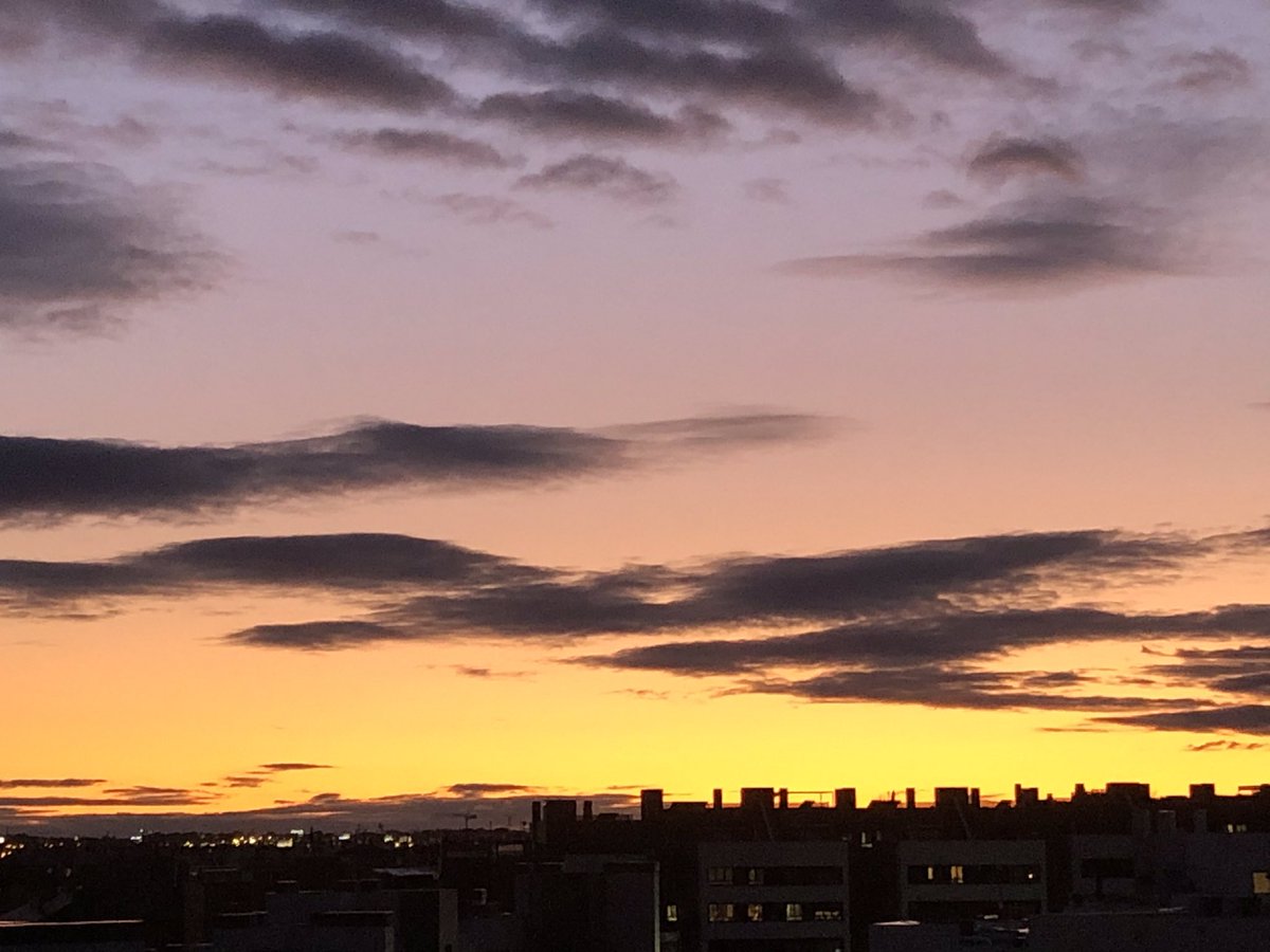 Isabel Benéitez tweet media