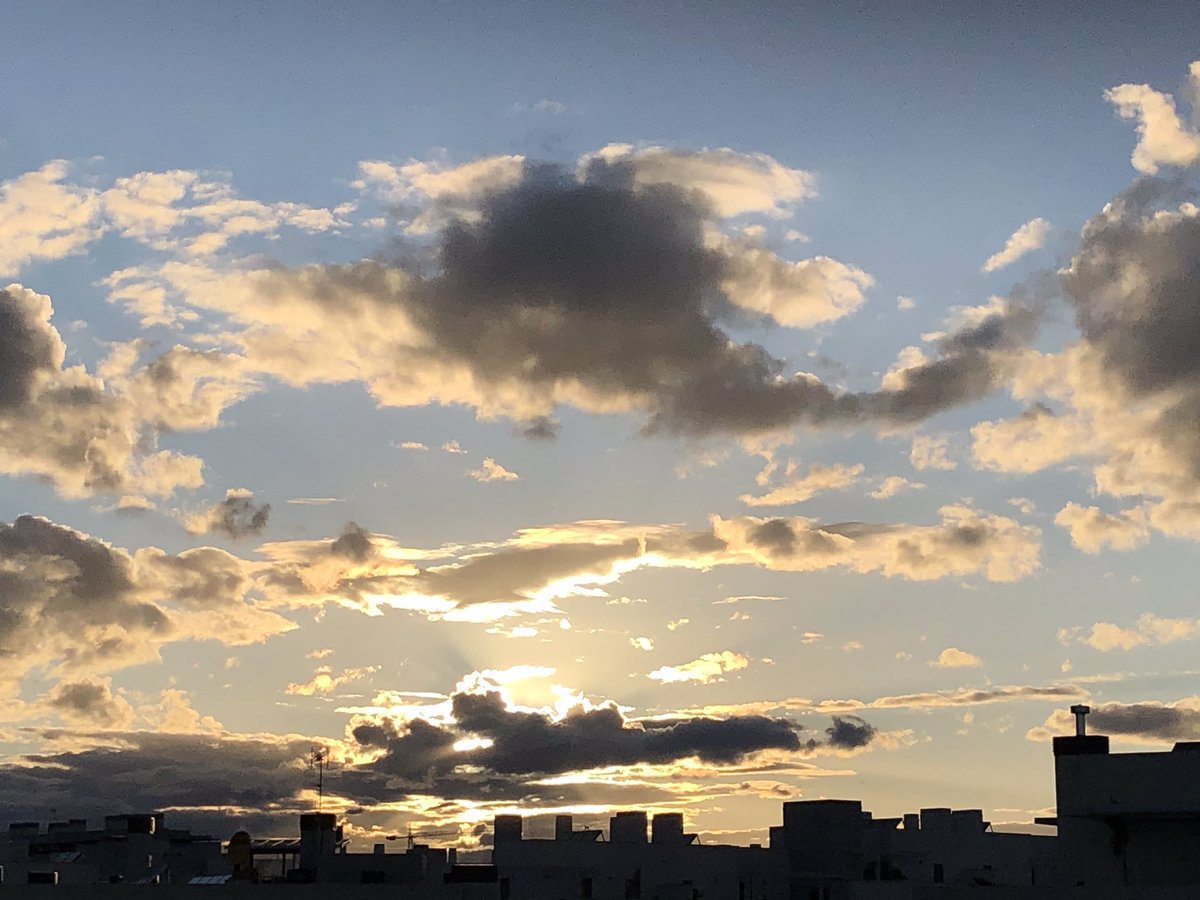 Isabel Benéitez tweet media