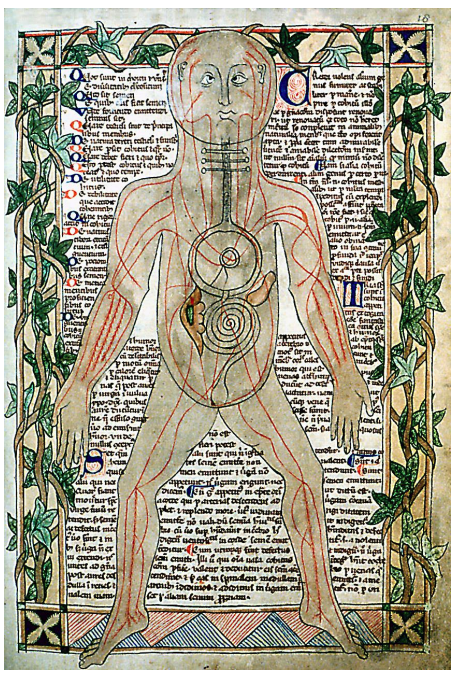 Of course, before the printing press, books simply had to be transcribed (and illustrated) by hand. Fig: Ashmole Manuscript, 13th century.