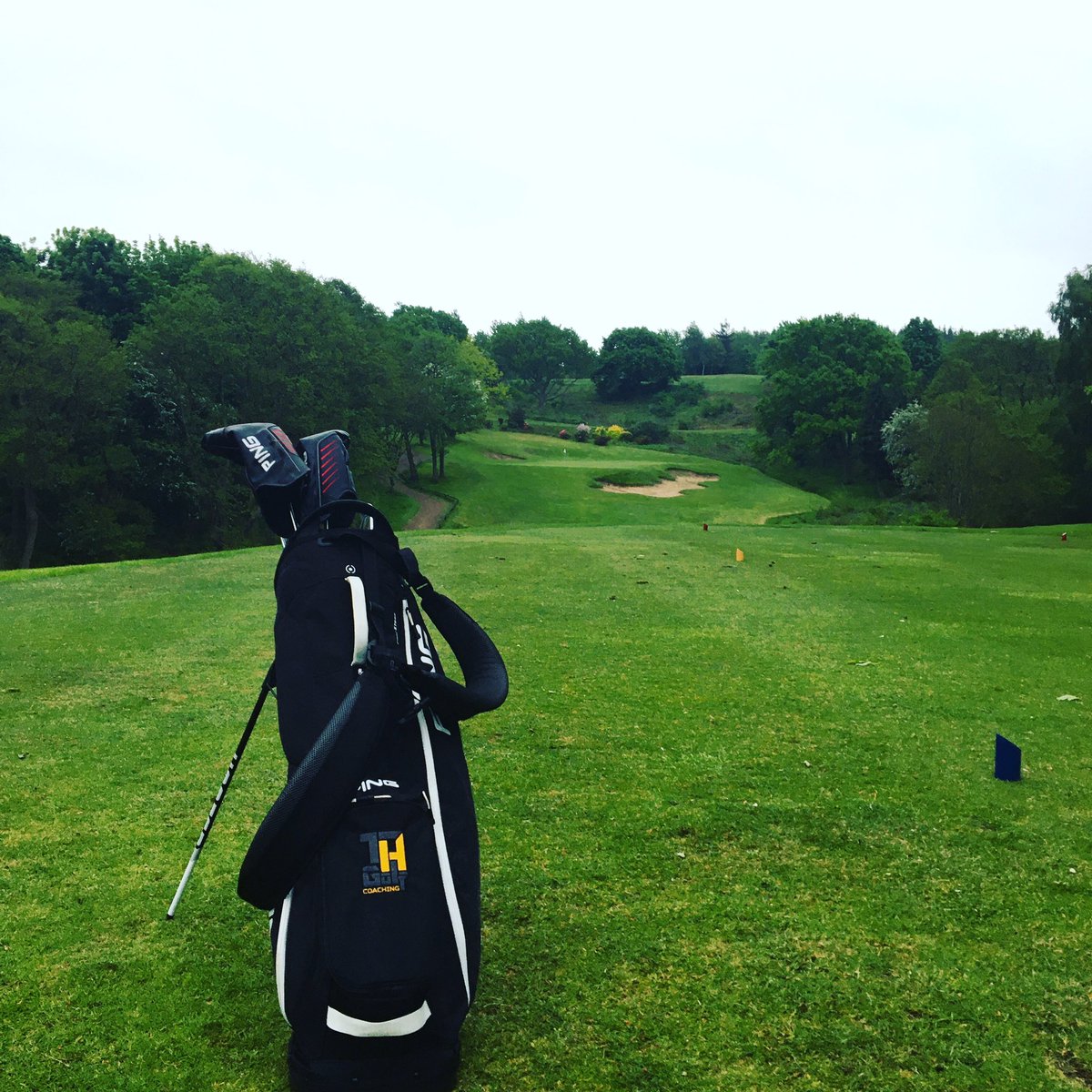 TomHuttunenGolf's tweet photo. 🏌️Nights like this remind me why I started playing golf... Whacking it around and having a good time!Thanks for the courtesy @MoorAllertonGC course in great condition considering! #golf #golfafterlockdown https://t.co/Vzsk2nWbhb