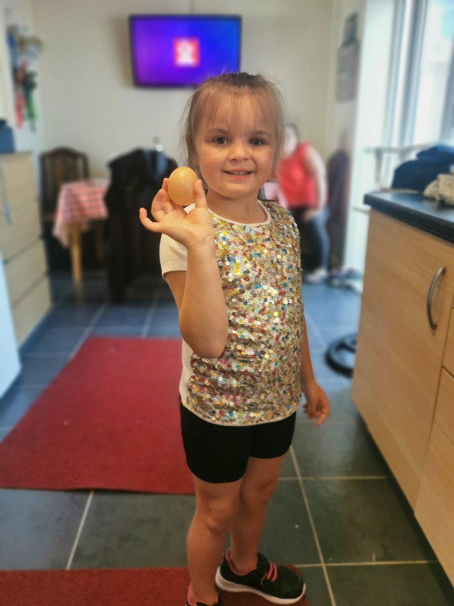 Egg experiment @HeolycelynPri