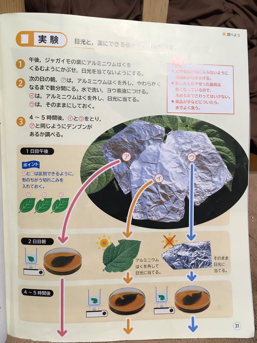 小学6年生理科 小学6年生理科