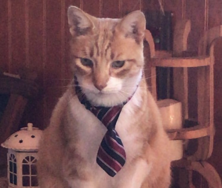 ProfesorYax's tweet image. Los espero en clase para más #marioMaker2!

#elProf espera

twitch.tv/professoryax