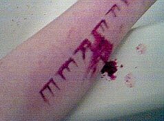 So I found this on  @JeffreeStar ‘s  #lipsticknazi  #jeffreestar old blog. There’s even more here  https://web.archive.org/web/20021015083803/www.melodramatic.com/users/cunt