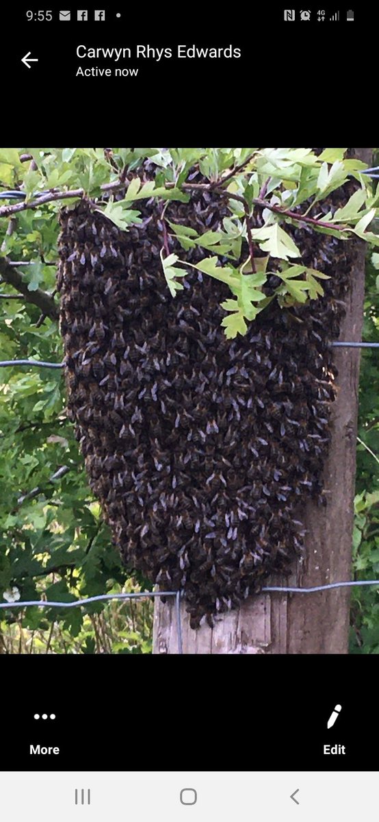 Geraint Llewelyn Griffiths tweet media