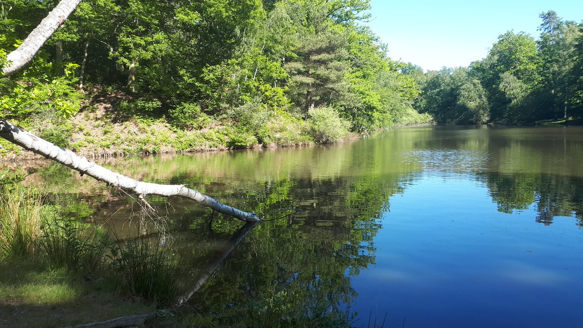 18) Nature. Today I went on a hike in the woods it was really beautiful :)