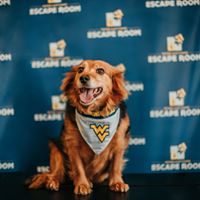 Private games for groups of 4 or more.
Masks &amp; hand washing required for all GameMasters &amp; customers.
Props &amp; surfaces disinfected after every game.
As we all begin to escape the shutdown, come escape with us!