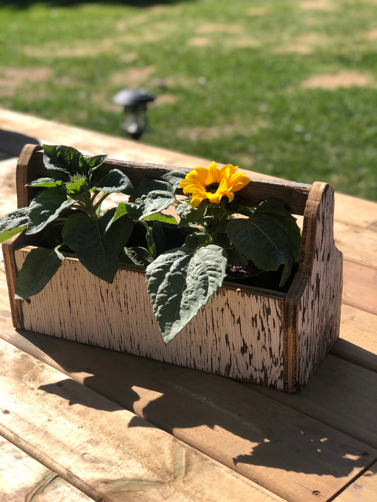 Happy Victoria Day!⁣
⁣
We hope that you have a day spent smelling the flowers! ⁣
⁣
We are open today 930 am to 6 pm⁣