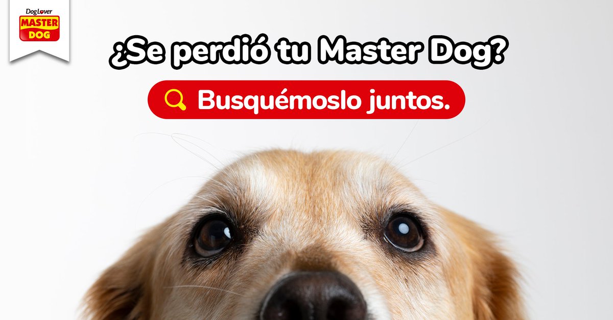 Queremos ayudarte a encontrar a tu #MasterDog perdido, menciónanos en tu publicación de búsqueda y nosotros le haremos Retweet. 🔎🐾 #SOSMasterDog