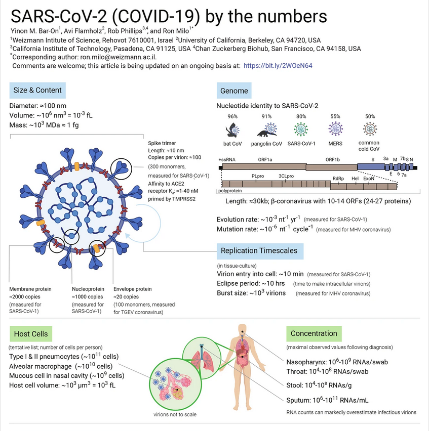Curious to know how the SARS-CoV-2 virus works? An article in eLife has a nice summary of what we know so far about the basic properties of the virus &amp; how it interacts with the body. 
Science Forum: SARS-CoV-2 (COVID-19) by the numbers doi.org/10.7554/eLife.…