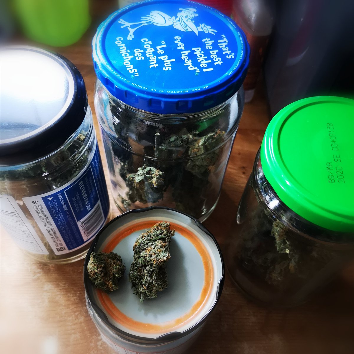 KorKapOtOmiS's tweet photo. Buds in jars. Time to cure for a week or so. #grapegum #cannabisculture #Hobbies https://t.co/bUZdlzKTov