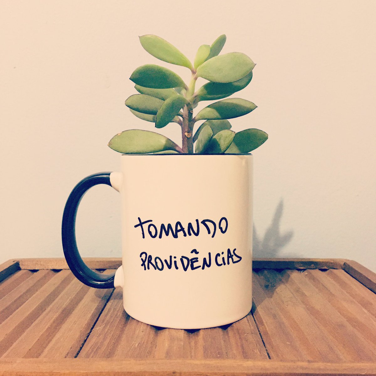 otempofeio's tweet photo. https://t.co/CvQU17y9TU