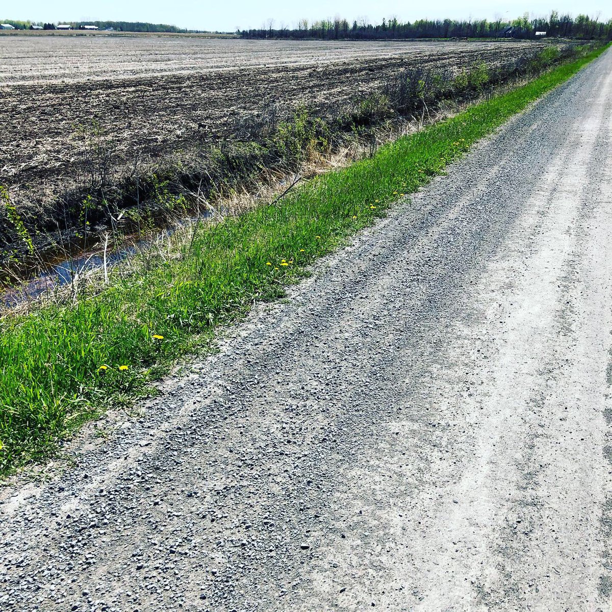 Nine2FivePro's tweet photo. Holiday Monday 100K Gravel Grind. #classickit #nine2fivepro #gravelcup #ottbike #cycling https://t.co/o8PPHkIdit