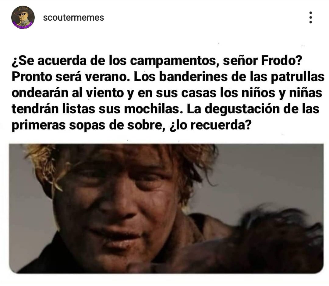 Hola @GnX_13 no sé si haces este tipo de favores, pero resulta que este año  los grupos scout se quedan sin campamento de verano y por las redes corre  un meme al, image size:1080x941