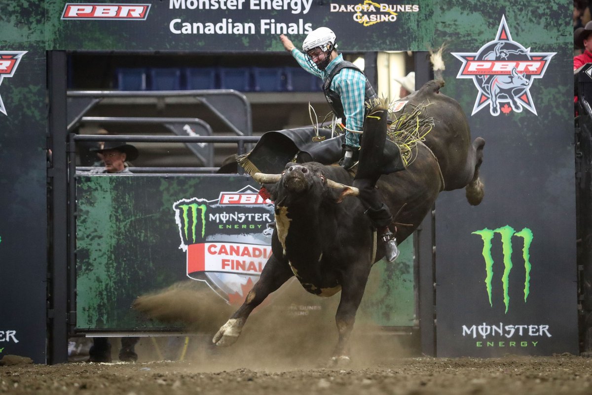 PBRCanada's tweet photo. Meet Whiskey Hand 🐮
Whiskey Hand is owned by Vold Rodeo Co. and resides in his hometown of Ponoka, Alberta. Whiskey Hand is kid-friendly and loves to be scratched while he is eating his grain. https://t.co/zCdJ8fTS7B