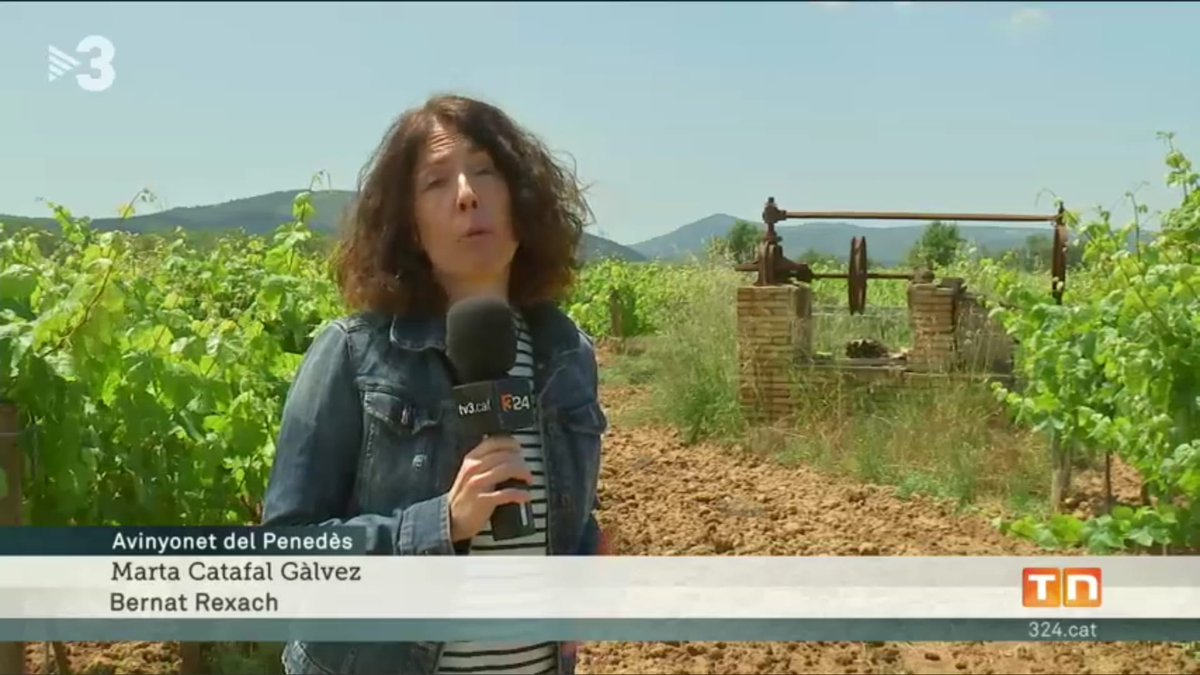 Turisme Avinyonet tweet media