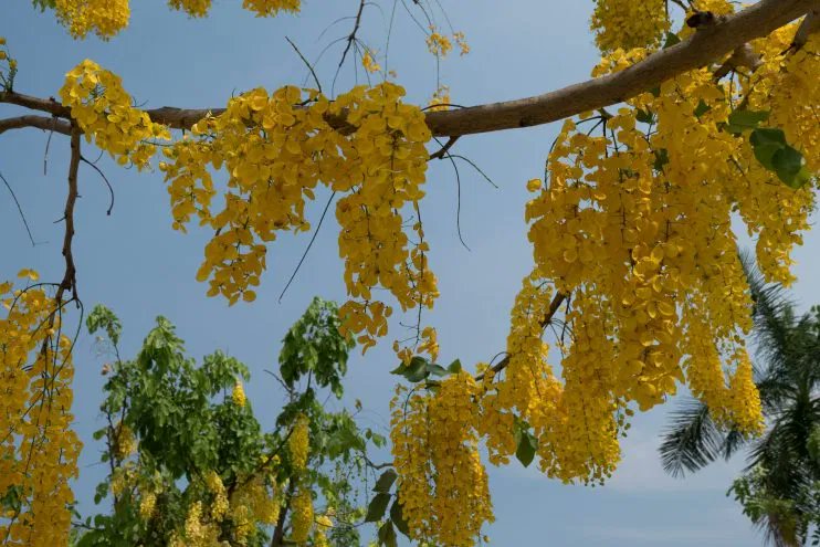 FILTER México tweet media