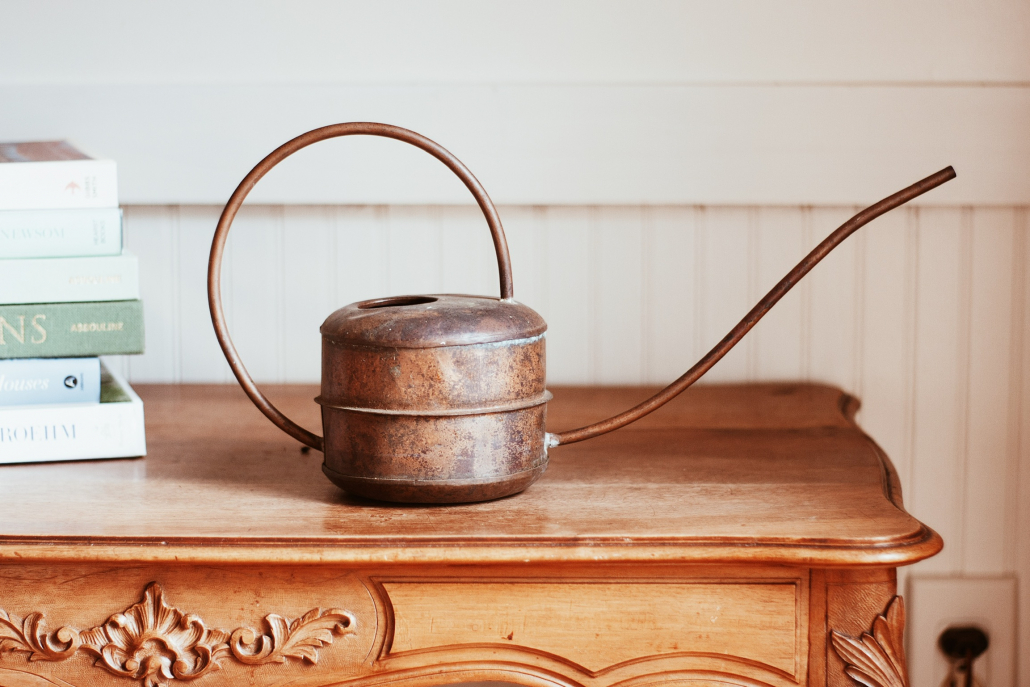 Do you struggle with houseplant care? Follow all of my tips and tricks here : youtu.be/YtwZVGPiHSA 

#gardening #houseplant #indoor #plants #plantcare