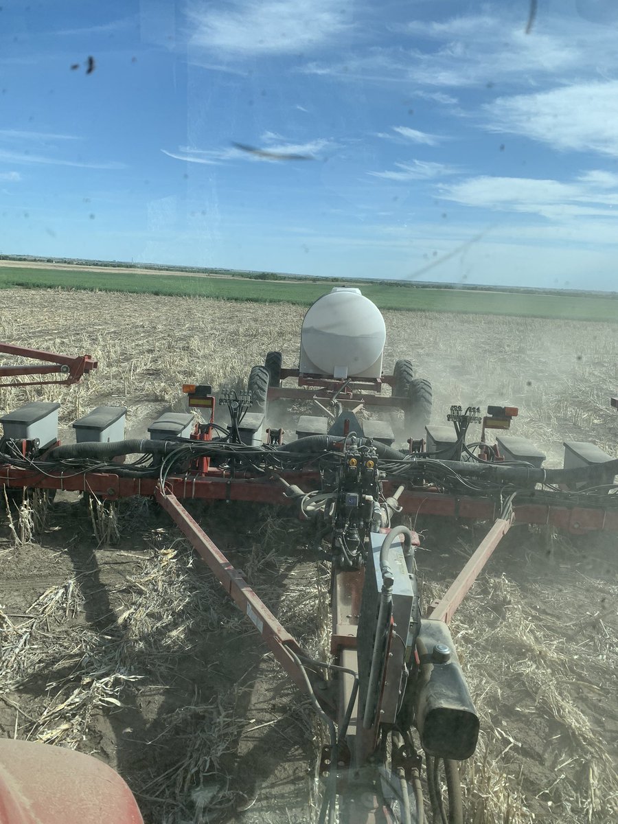 It’s always takes a half a day to plant the first 80.....right? #plant2020