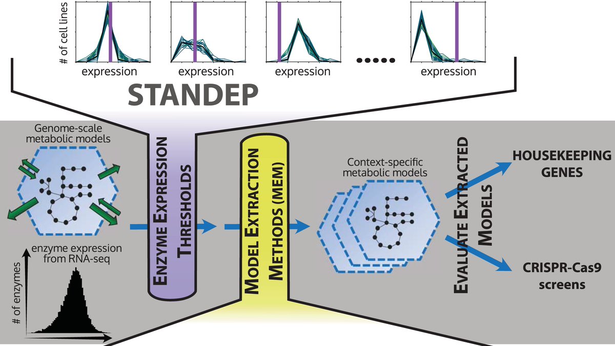 Cell-type and tissue specific metabolic models are often missing many housekeeping genes. New paper out from <a href="/JoshiChintanJ/">Chintan Joshi</a> presents a method that effectively retains them. doi.org/10.1371/journa…