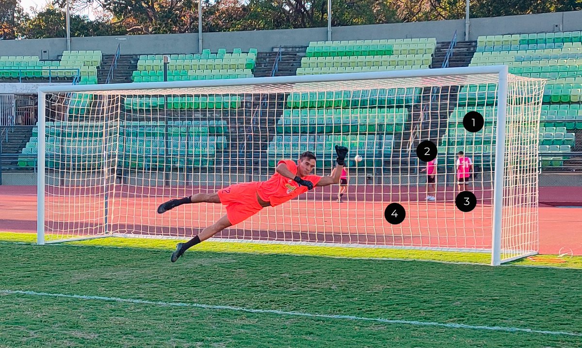 ¡Hora de jugar!⏳

¿En qué número está el balón?

🦁