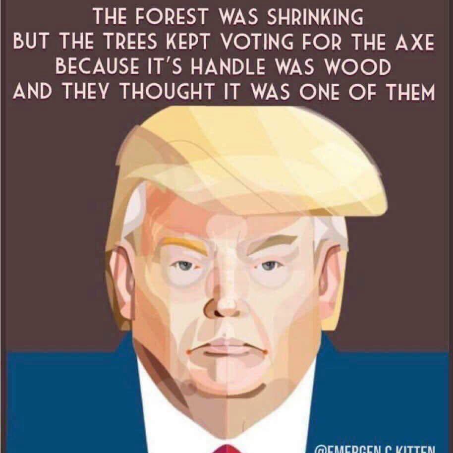 TrampleLineUp's tweet photo. #TrampleTrump2020 #TrumpGate #TrumpDepression https://t.co/EepX1c7SWT
