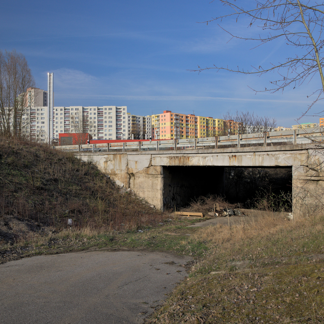 Kafelanka's tweet photo. Nepoužívaná komunikace pod mostem v Bosonohách, více v článku: https://t.co/NQB3KO1jYu 
#kafelanka #brno #bosonohy https://t.co/kUe3cZoVeS