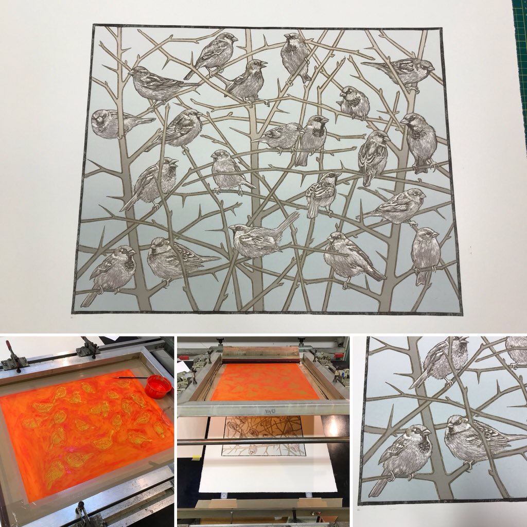 Capreolus333's tweet photo. I thought I might have another go at Twitter. This time I hope to avoid the sad gobshites pointing their self righteous fingers as much as possible. Here's some of what I've been doing. More later. #printmaking #sparrows https://t.co/uufkwhjzlT