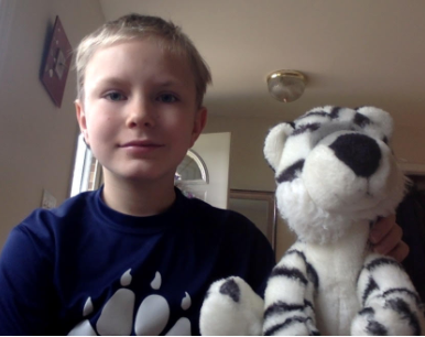 WT students are going on a bear hunt with the CATS Team. We would love everyone to put a teddy bear in their window so students can spot them when they are out and about!  We had our first sighting today! #WTShines #ccsd93