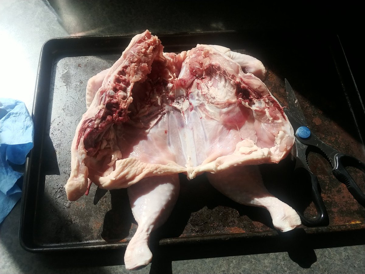 RobMeekel's tweet photo. Got 3 chickens from #StuffMart to deal with. Flattened #1 and put it on the @PitBossGrills smoker https://t.co/MN3UJzlAc0