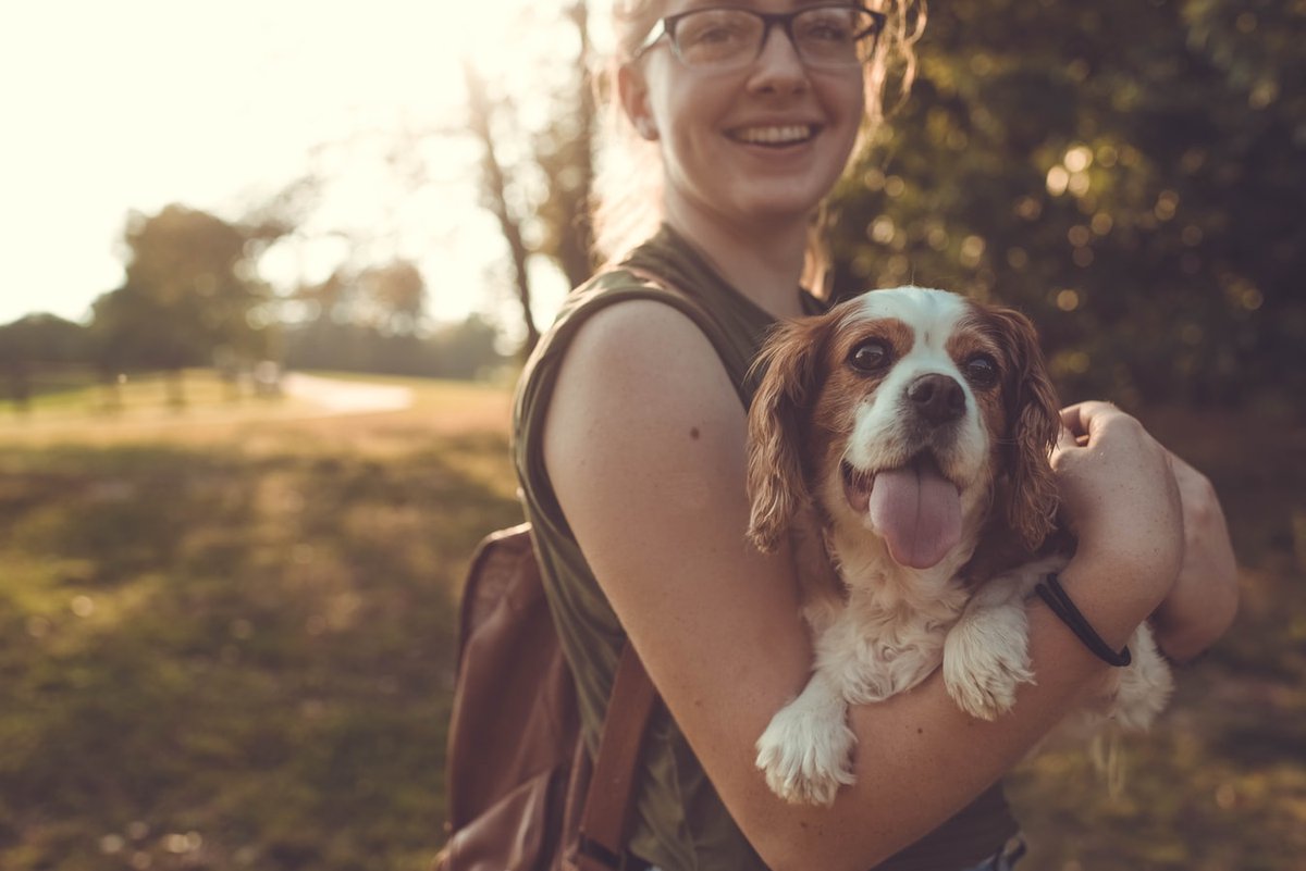 VGAptsRaleigh's tweet image. Practicing social distancing is hard when you are a pet lover!
#SocialDistancing #PracticeIt #PetLovers #PetFriendlyCommunity #FourLeggedResidentsAreTheBest #VitaminD #RaleighLiving #LiveVG #Dogs #Cats #WeLoveThemAll