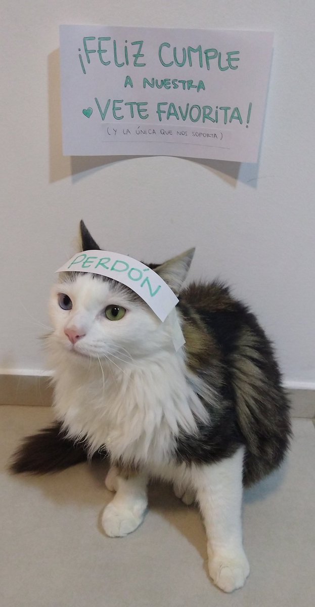 leon3l4's tweet photo. Le mandé esta foto a la veterinaria para que no lo deje de atender por hijo de puta jaja https://t.co/YjWJYrPQnY
